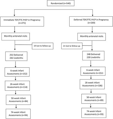 In-utero exposure to tenofovir disoproxil fumarate pre-exposure prophylaxis and growth metrics in HIV unexposed breastfed infants in South Africa: a post hoc analysis of the CAP 016 PrEP in pregnancy RCT